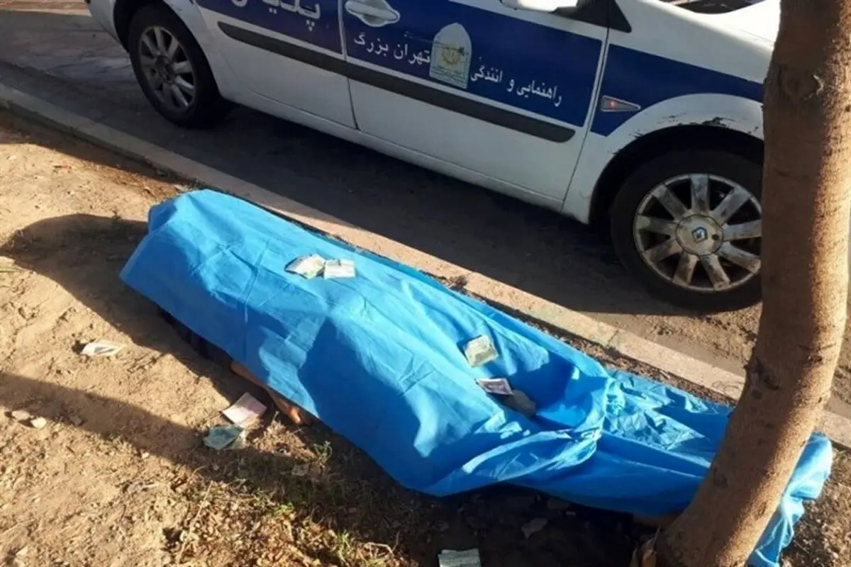 مرگ ۱۰ تهرانی در تصادفات هفته جاری/ ۳ عابرپیاده مقصر شناخته شدند!