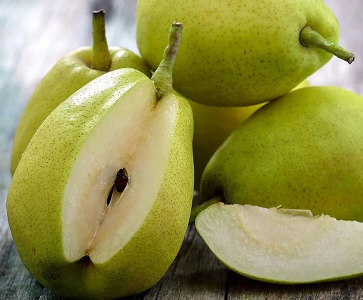 فواید و خواص گلابی: طبع آن در طب سنتی و جدول ارزش غذایی آن