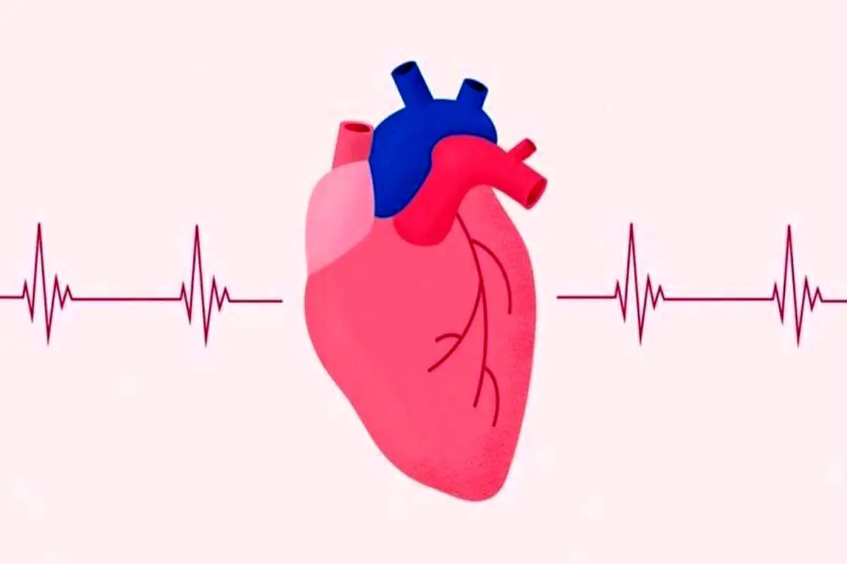 ضربان قلب آهسته موضوعی نگران‌کننده است؟