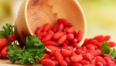 با زرشک به مقابله با سرطان ریه بروید