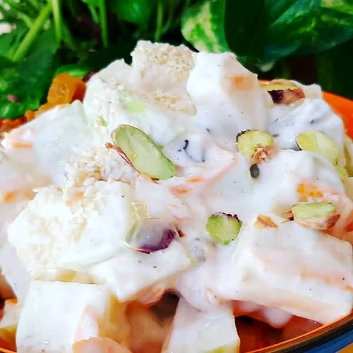 طرز تهیه سالاد سیب سبز