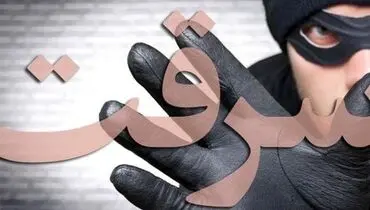 عجیب‌ترین سارق پایتخت دستگیر شد + فیلم