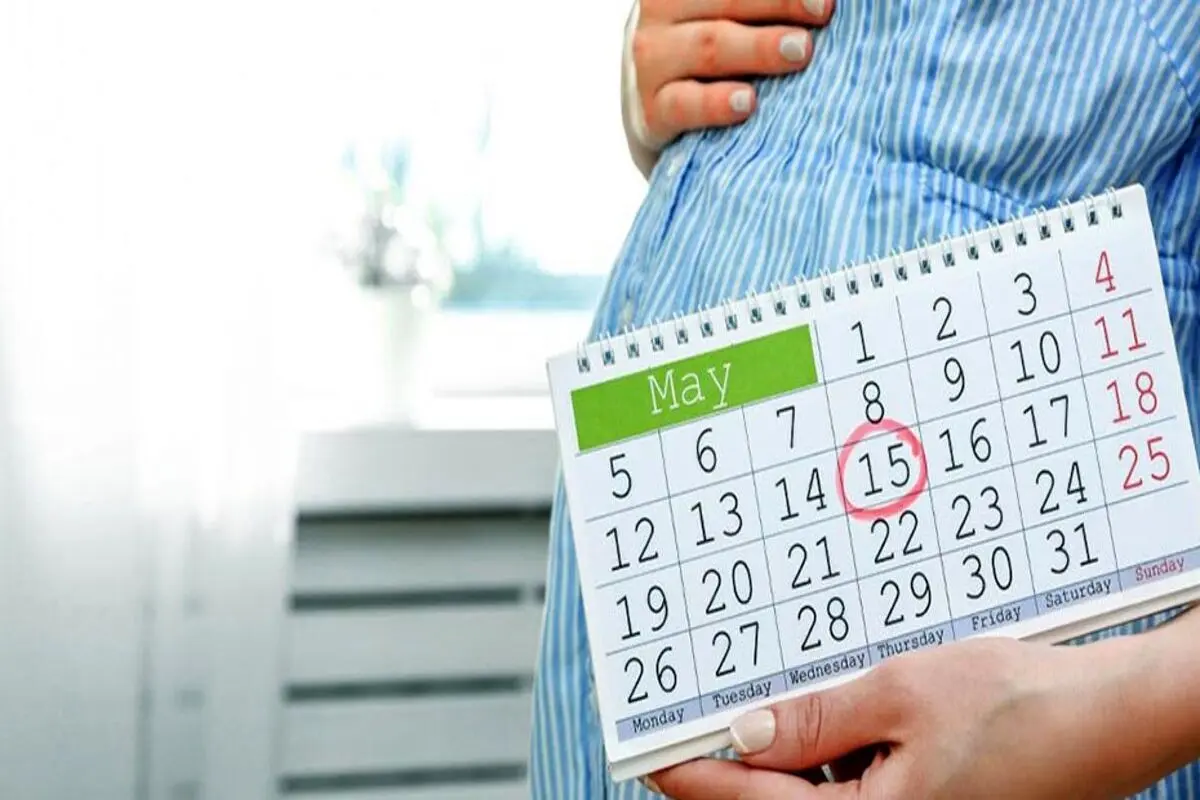 بارداری چند هفته است؟