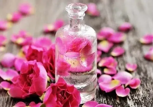 رونمایی از لوکس‌ترین گلاب ایرانی در دبی! +فیلم