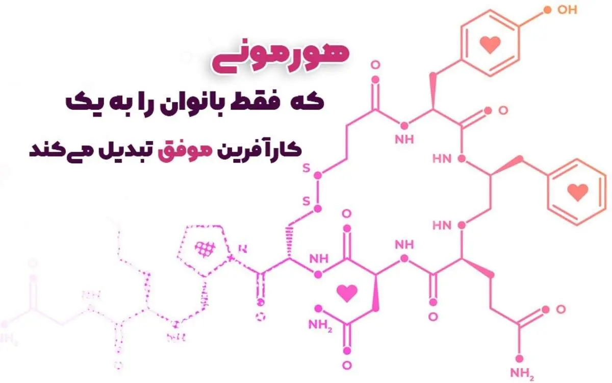 هورمونی که بانوان را به یک کارآفرین موفق تبدیل می‌کند+ معرفی بهترین شغل برای زنان خانه دار