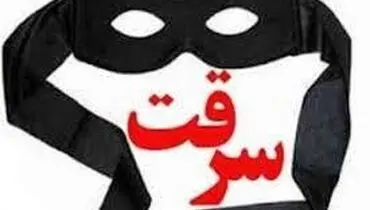 سرقتی که برق از سرتان می‌پراند!+فیلم