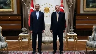جزئیات دیدار امیرعبداللهیان با اردوغان +عکس