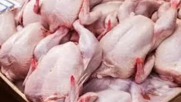 انواع مرغ بسته‌بندی شده چند؟