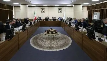 تاکید اعضای کمیسیون مشترک مجمع بر تعیین تکلیف شرکت‌های دولتی