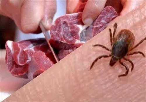 کمبودی در عرضه مواد غذایی در بازار وجود ندارد 