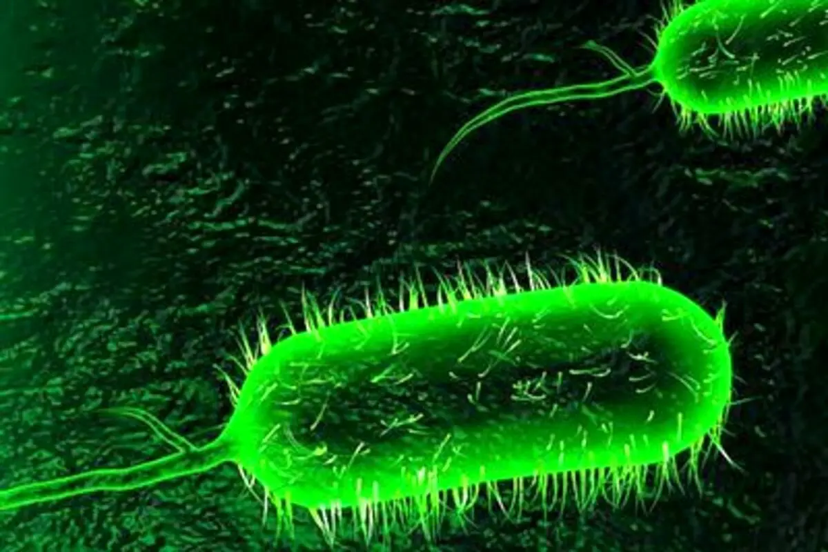 شناسایی قطعی ۲۳ مورد ابتلا به وبا در کشور