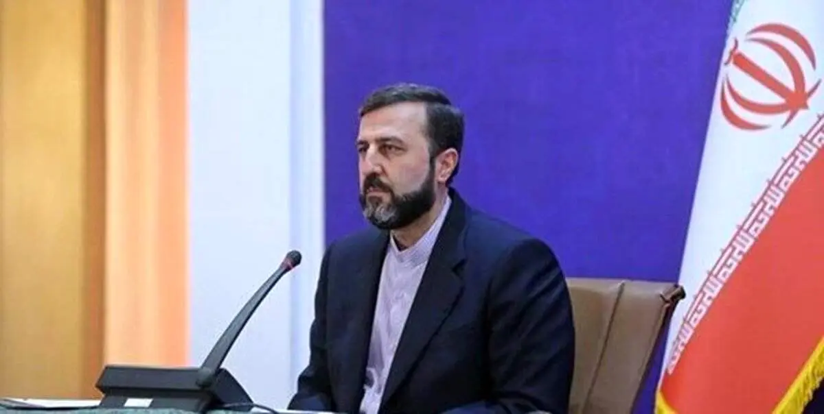 غریب آبادی: پرچم دفاع از حقوق بشر را دشمنان اصلی آن بلند کردهاند
