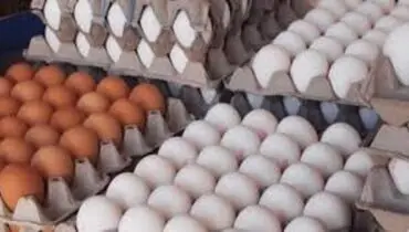 هر عدد تخم مرغ چند؟