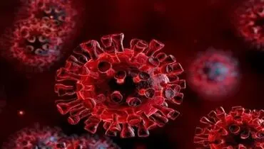 حرف های جنجالی یک دانشمند آمریکایی درباره کرونا+ فیلم