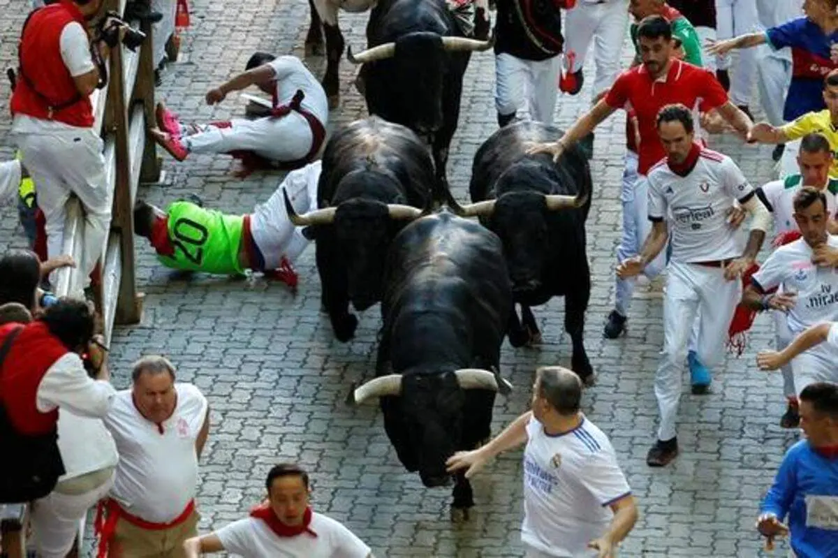 دیدنی های روز؛ از معترضان سریلانکا تا جابجایی فیل