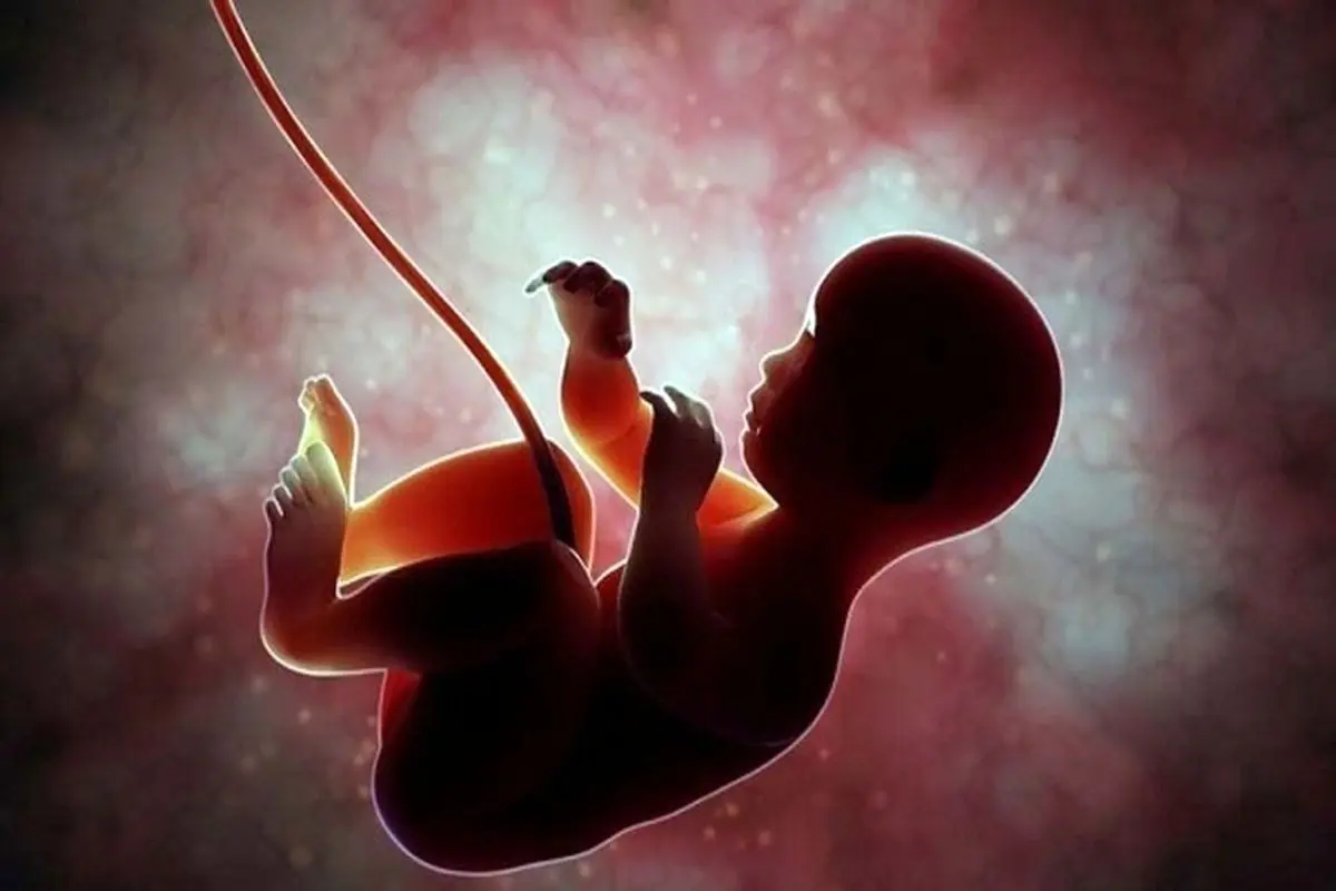 وزارت بهداشت: اختیار سقط جنین ناسالم از پزشک سلب شده