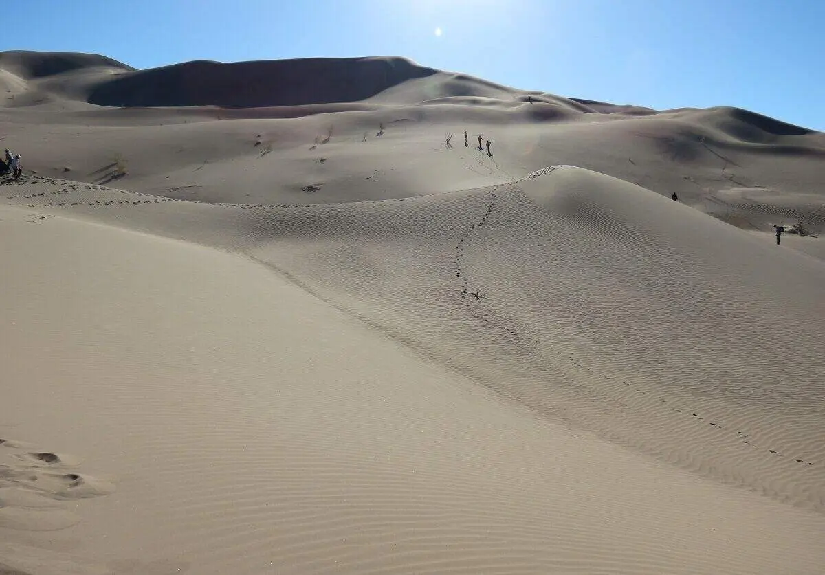 ثبت دمای ۷۳ درجه‌ در بیابان لوت