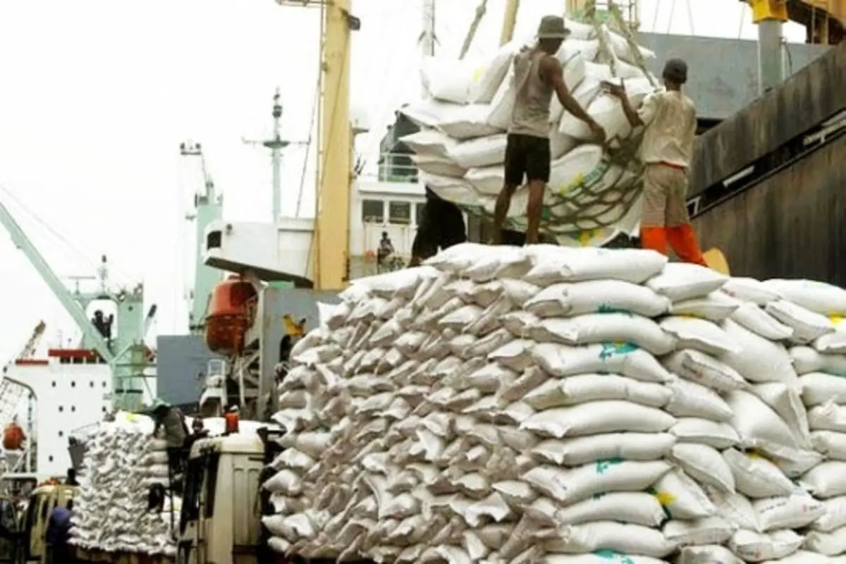ممنوعیت واردات برنج لغو شد+ جزئیات