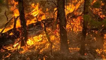 ۶ کشته در آیداهوی آمریکا به دلیل آتش‌سوزی جنگل+فیلم