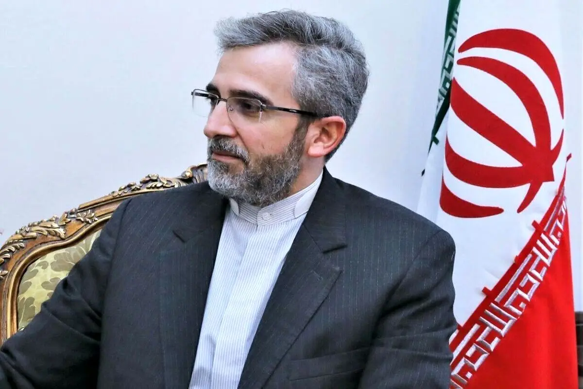 باقری: «فرصت ربایی» از ویژگی‌ های دیپلماسی ایران است