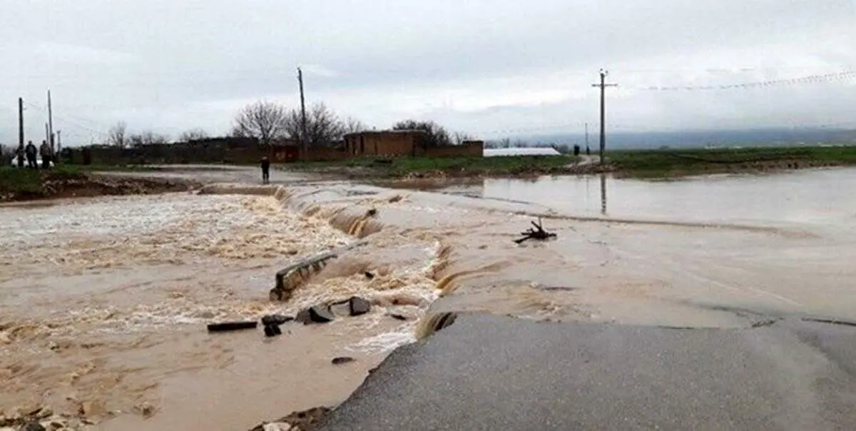 تلاش ناکام مردم برای نجات یک نفر از سیل!+ فیلم
