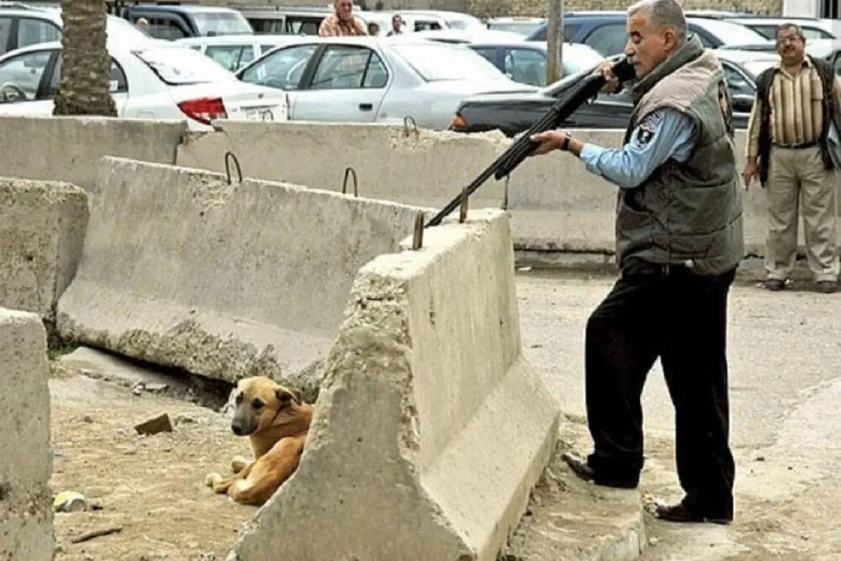 کشتار بیش از ۱۰۰۰ سگ در نقاهتگاه دماوند + فیلم