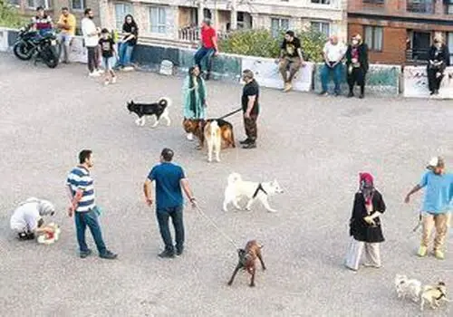 ۵ شغل عجیب و غریب دنیا؛ از خوابیدن تا تماشای خشک شدن رنگ!