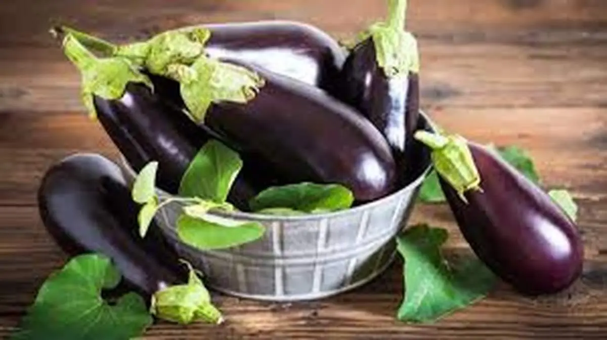 چرا برخی افراد به بادمجان آلرژی دارند؟