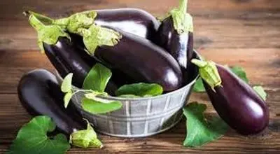 چرا برخی افراد به بادمجان آلرژی دارند؟