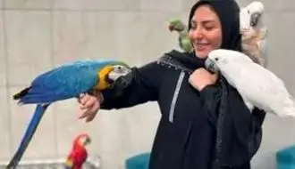 اعتراض شدید المیرا شریفی‌مقدم به گرانی خامه شکلاتی/ویدیو 