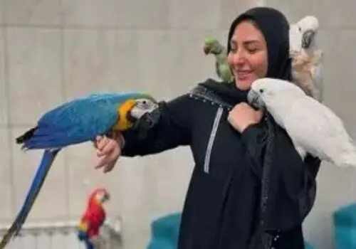 تصویر متفاوت المیرا شریفی‌مقدم با کلاه‌خود جنگی در تلویزیون / قاب تازه‌ای که در فضای مجازی دیده شد + عکس