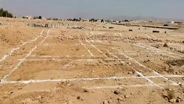 پیشرفت طرح مسکن جوانان در تهران: ۱۴۵۰۰ متقاضی واجد شرایط شناسایی شدند