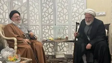 دیدار موسوی خوئینی‌ها با مهدی کروبی