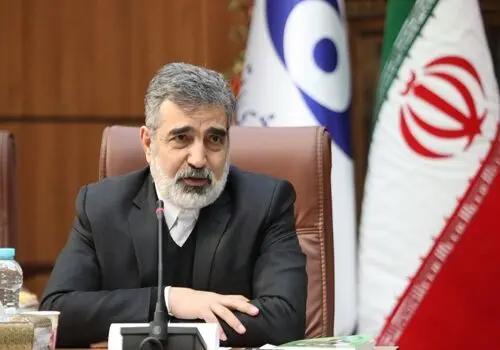 ایران مقابل فشارهای سیاسی از حقوق مسلم خود کوتاه نمی‌آید