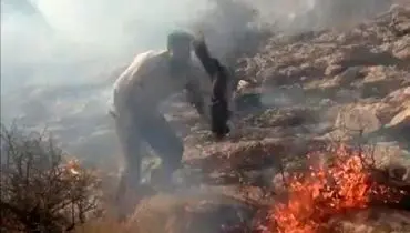 ویدیویی از محیط‌بان برومند نجفی در تلاش برای مهار آتش سوزی مراتع و منابع طبیعی+فیلم