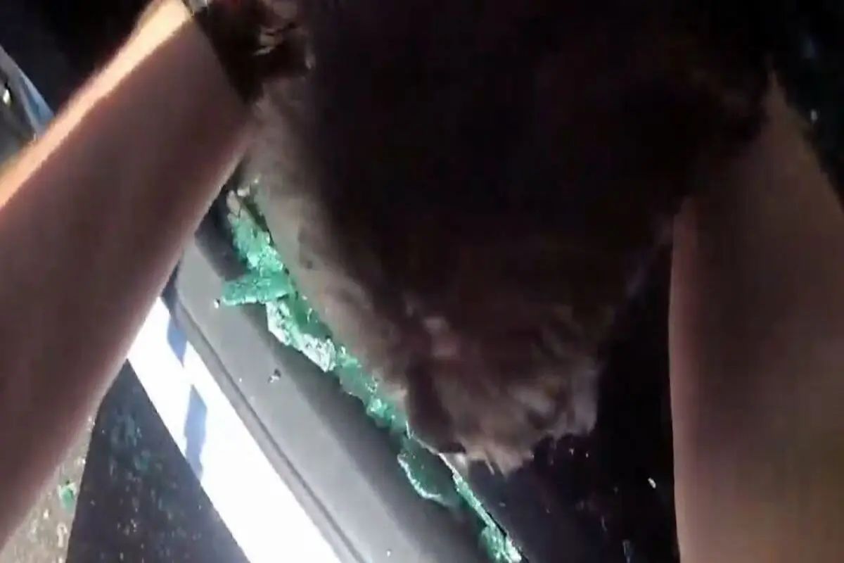 لحظه نجات سگ حبس شده در خودرو+ فیلم