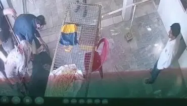 نجات معجزه آسای یک زن در نانوایی!+ فیلم