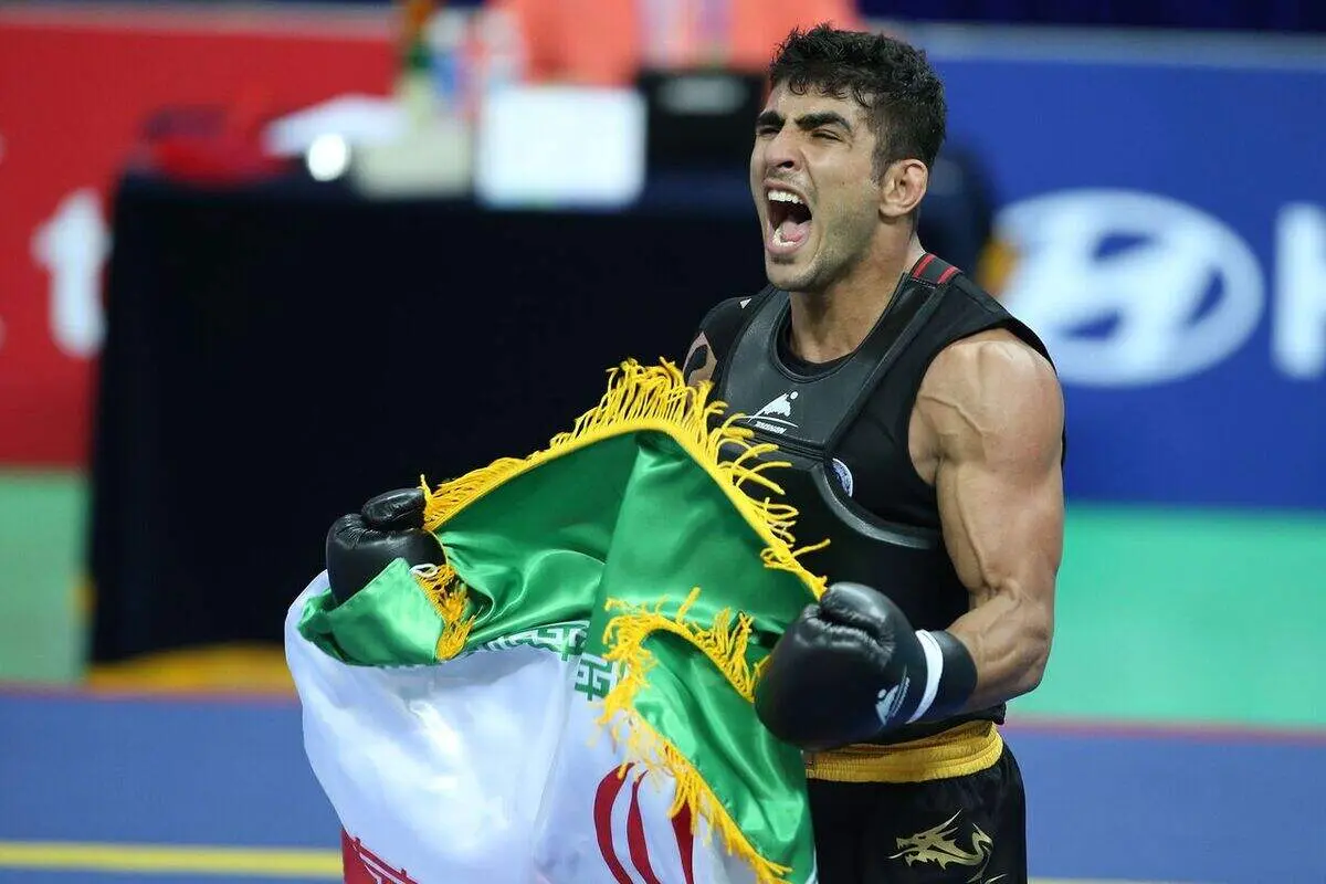 محمدسیفی بهترین ووشوکار جهان شد