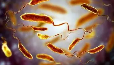 ابتلای قطعی ۶۰ نفر به بیماری وبا در کشور + جزئیات