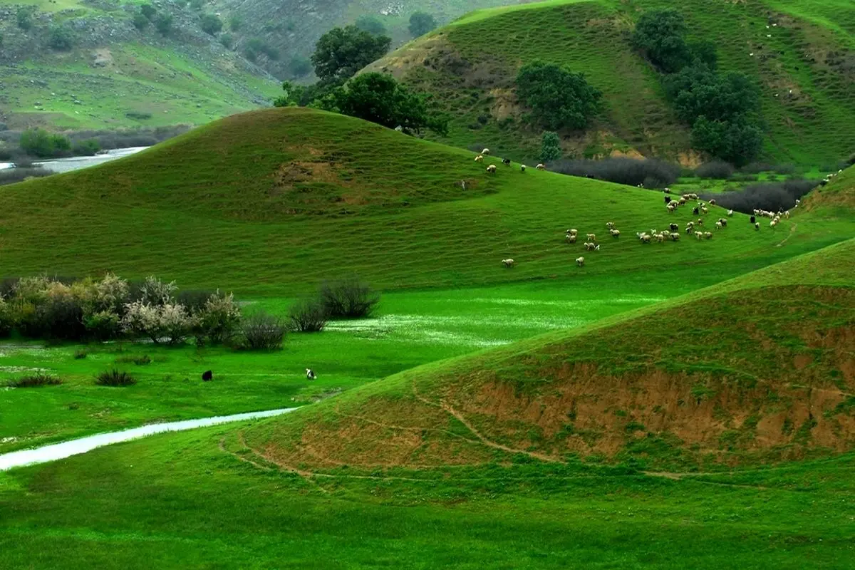 صحنههایی بی نظیر از طبیعت استان چهار محال و بختیاری + فیلم