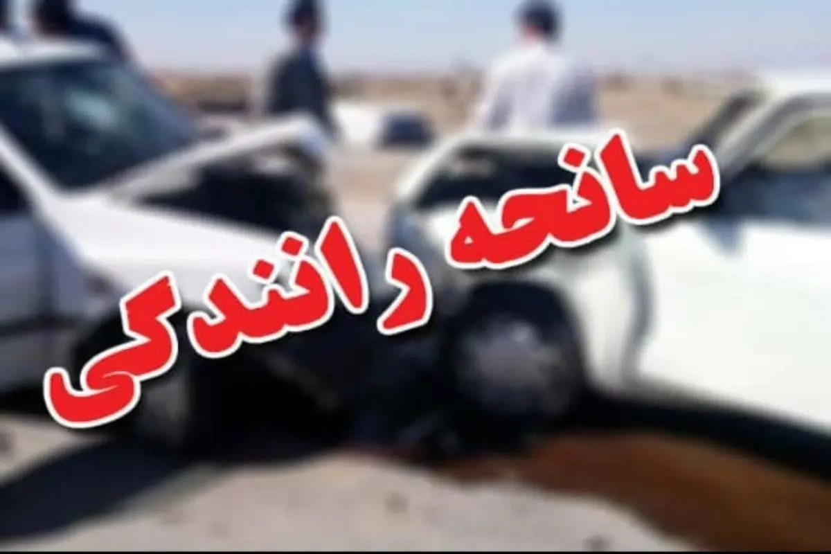 ویدئویی وحشتناک از برخورد خودرو با جمعیت و مرگ ۱۶ نفر! + فیلم