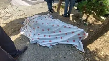 جزئیات جدید از قتل پزشک مشهور | تصویر قاتل در دوربین مداربسته