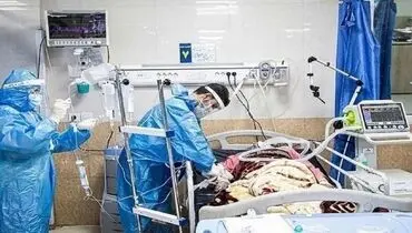 کرونا جان ۵۶ هموطن دیگر را گرفت
