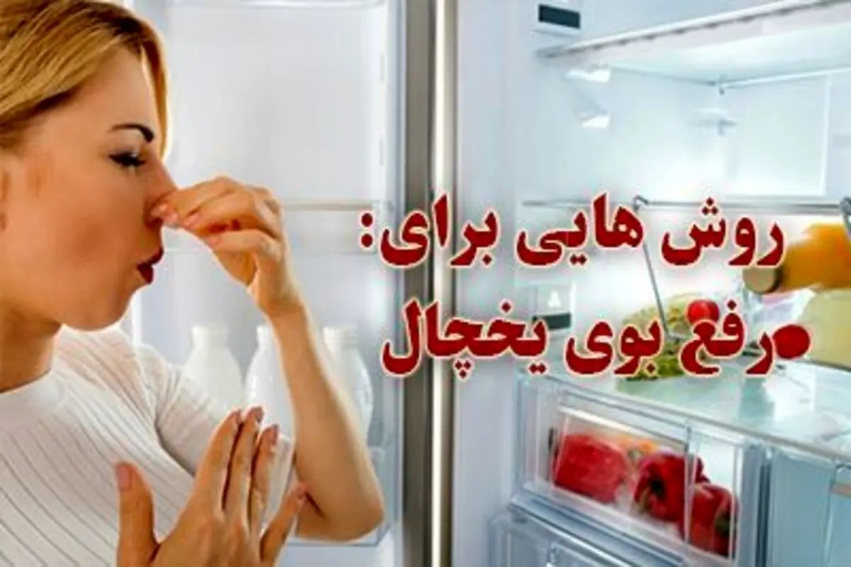 ۱۰ ترفند آسان و کاربردی برای از بین بردن بوی بد یخچال