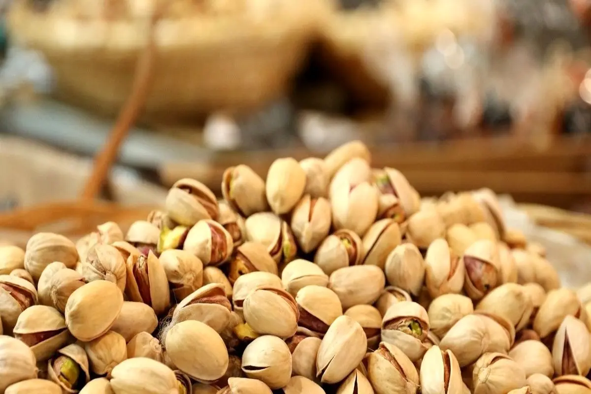 زنگ خطر بیخ گوش پسته ایران؛ اسپانیا طلای سبز را جایگزین زیتون میکند