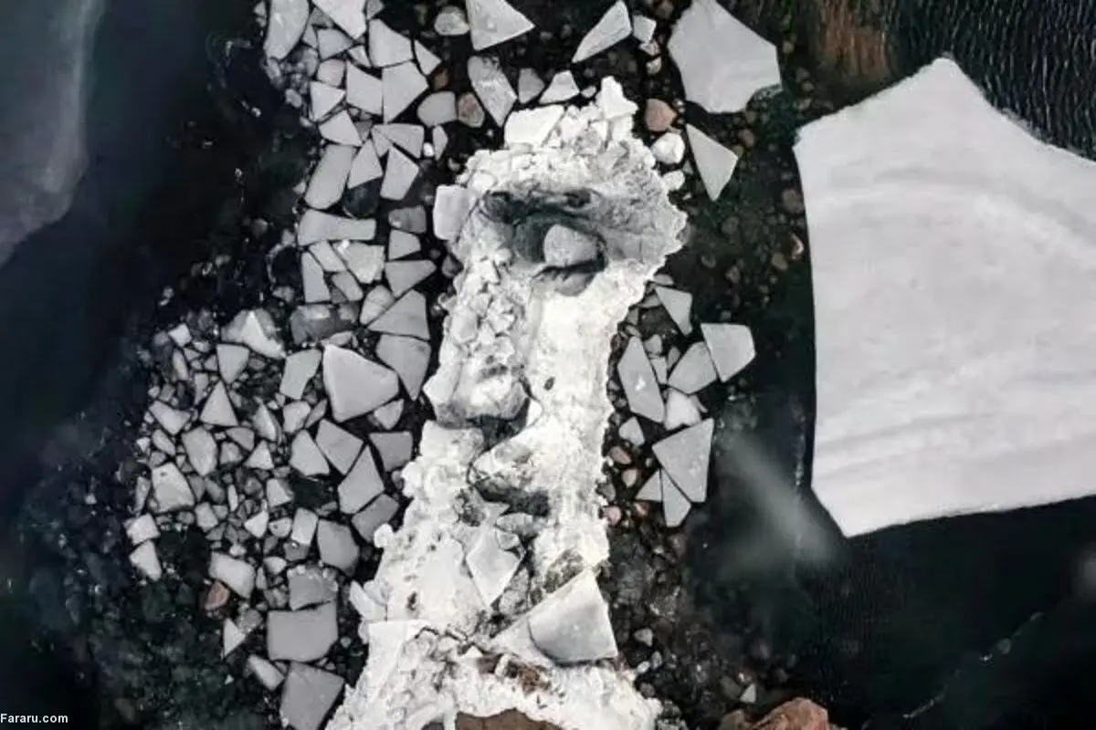 نقاشی جالب و محسور کننده روی یخ‌ های شناور غول پیکر!+ فیلم