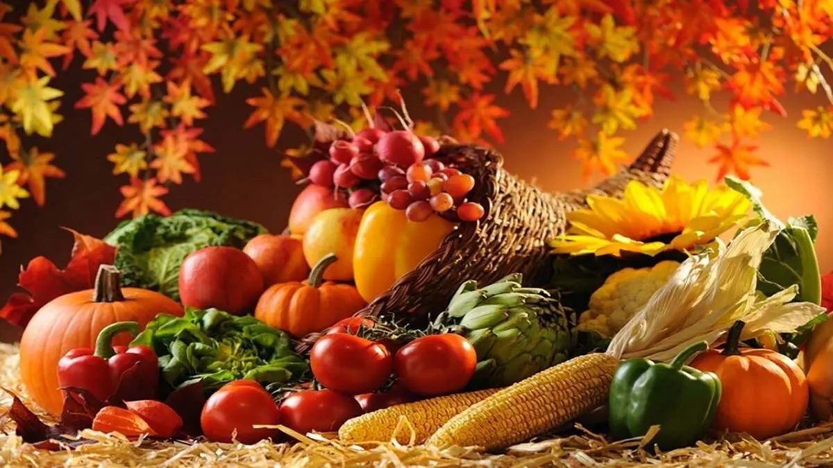 تغذیه مناسب در فصل پاییز + فیلم