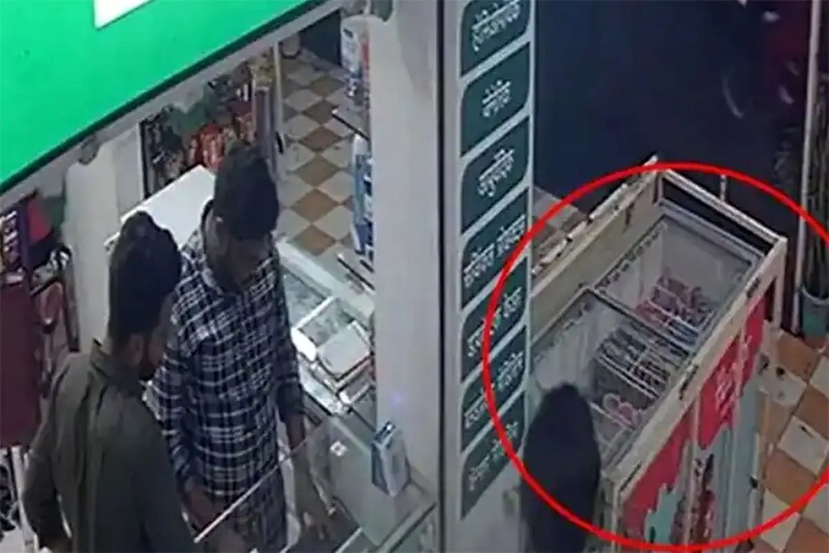 لحظه وحشتناک برق گرفتگی و مرگ دختر بچه ۴ ساله در یخچال بستنی + فیلم
