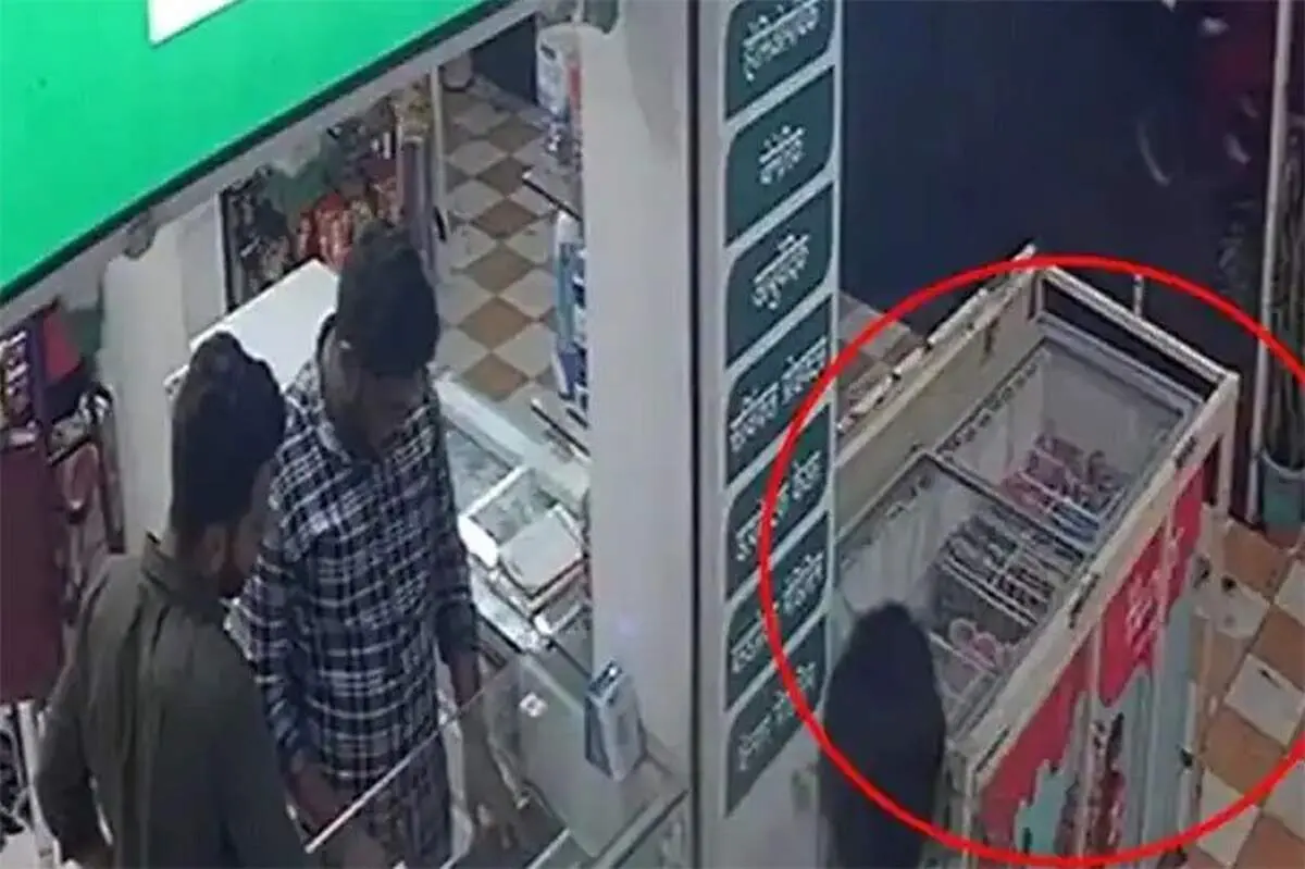 لحظه وحشتناک برق‌ گرفتگی و مرگ دختر بچه ۴ ساله در یخچال بستنی + فیلم