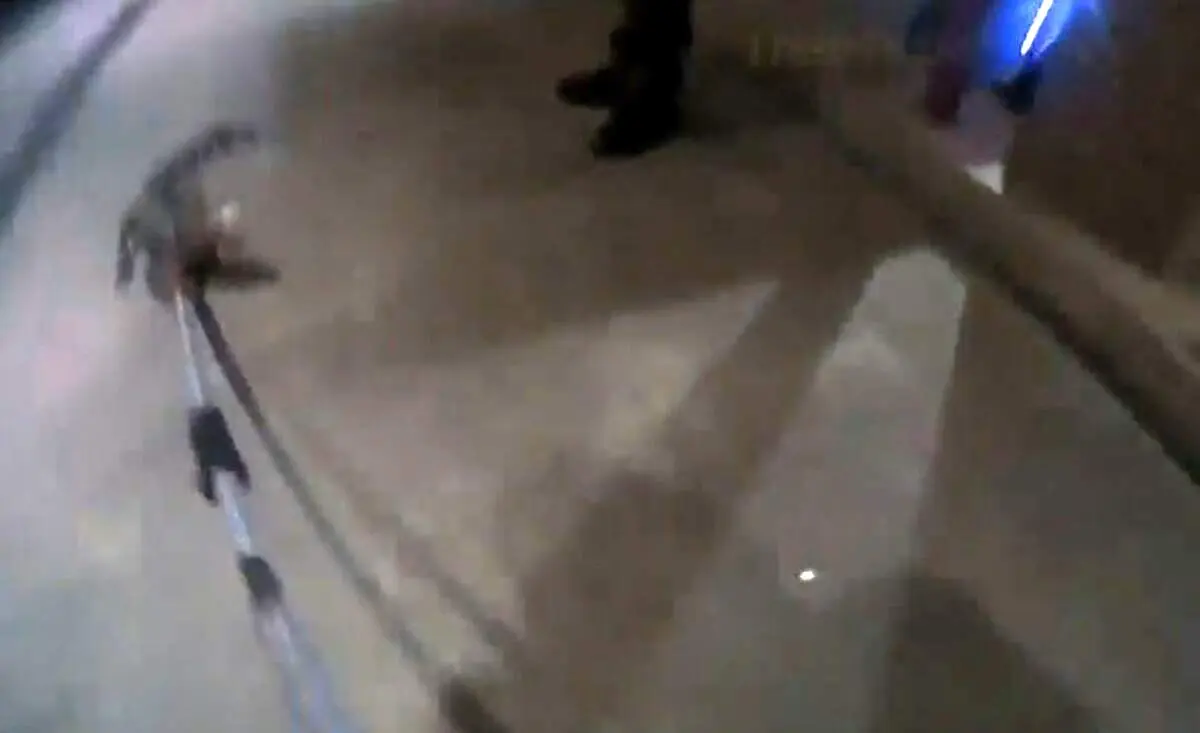 لحظه زنده گیری تمساح خطرناک در کنار خودپرداز+ فیلم
